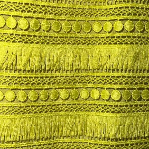 JCrew $138 Sheath Dress in Fringy Lace 2Size 10 Yellow G1532 NWT - Picture 4 of 6